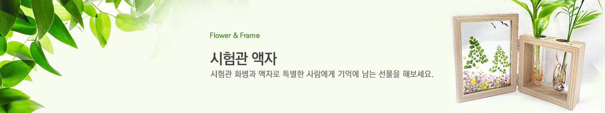 시험관액자