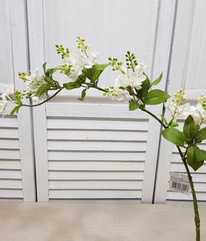 라일락가지80