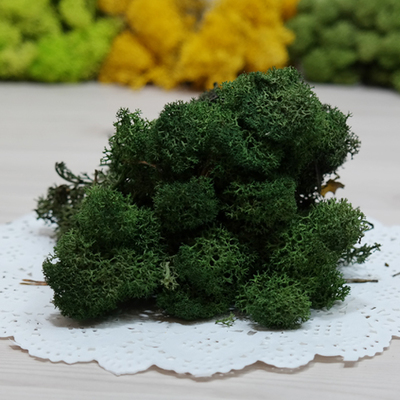 스칸디아모스-moss green(500g)
