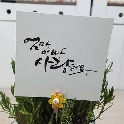 이지픽B(대)-엄마아빠(10장)