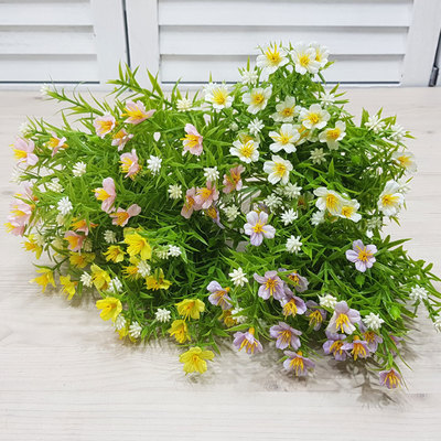안개물망초부쉬-5컬러