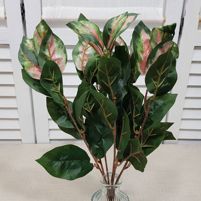 레드에로루트부쉬