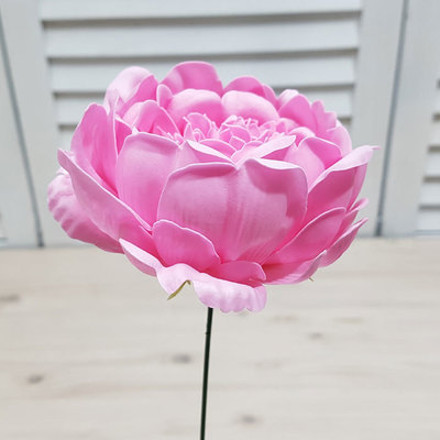 작약-연핑크(9송이)