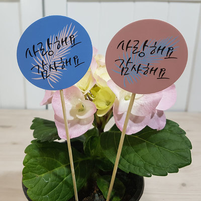 데코픽-사랑감사(8개)